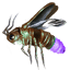 Amethyst Candlefly Gathering icon